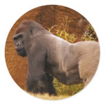 Silverback Gorilla Photo Sticker