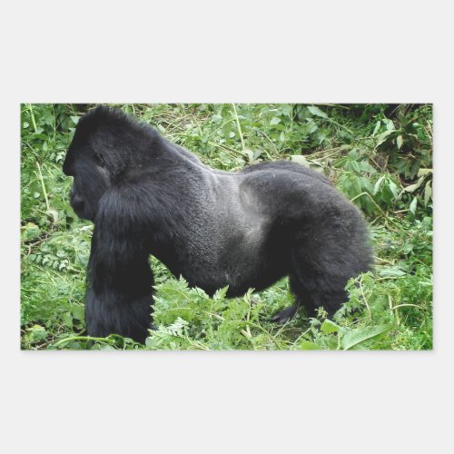 Silverback gorilla photo sticker