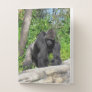 Silverback Gorilla Pocket Folders