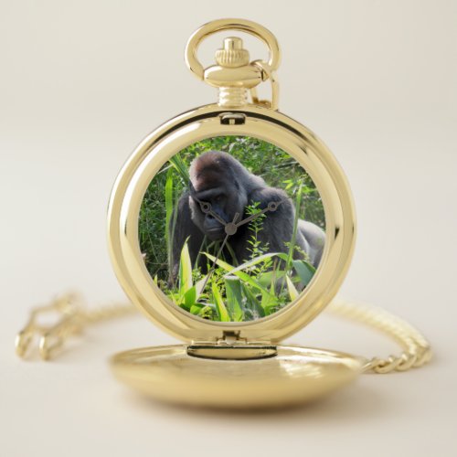 Silverback Gorilla Pocket Watch
