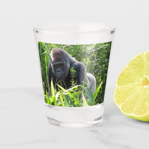 Silverback Gorilla Shot glass