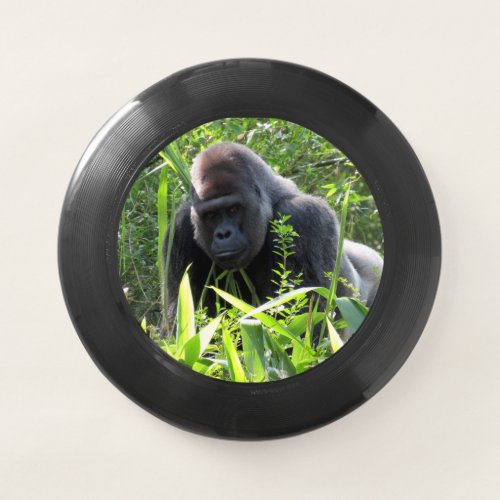 Silverback Gorilla _ Wham_O Frisbee