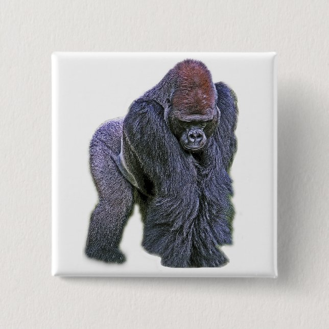 Silverback Gorilla, White Back (g2p2) Pinback Button (Front)