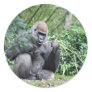 silverback gorillas classic round sticker
