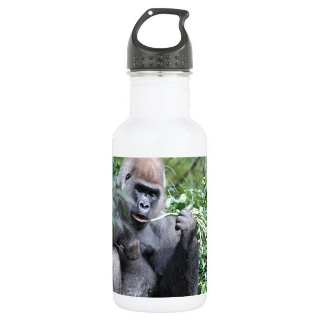 silverback gorillas stainless steel water bottle (Front)