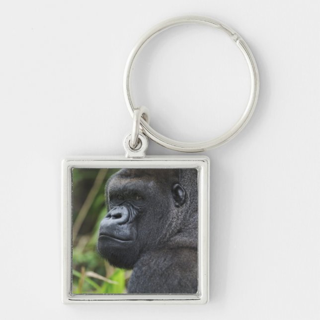 Silverback Lowland Gorilla, Gorilla Captive Keychain (Front)