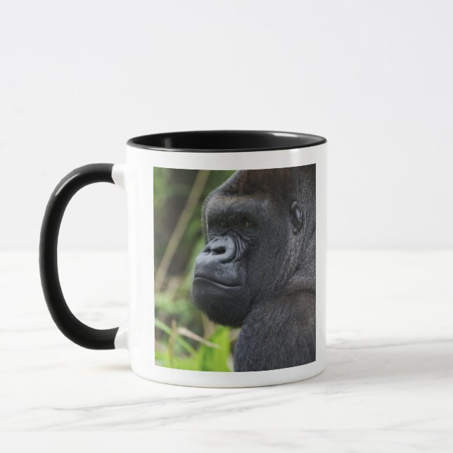 Silverback Lowland Gorilla, Gorilla Captive Mug (Left)