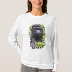 Silverback Lowland Gorilla, Gorilla gorilla, T-Shirt