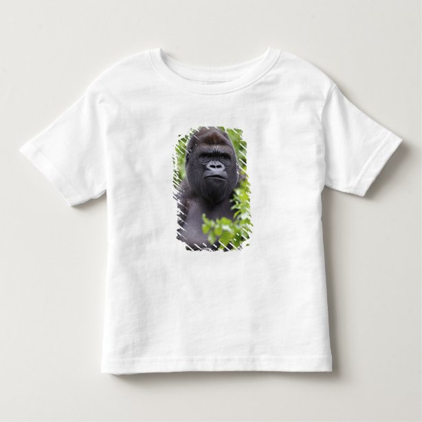 silverback gorilla t shirts