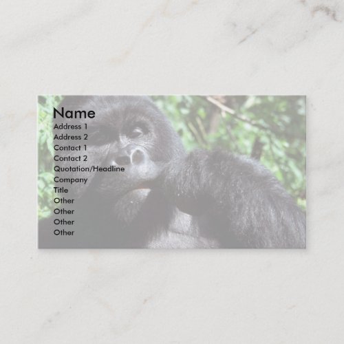 Silverback male gorilla business cards