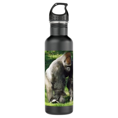 Silverback Male Lowland Gorilla Standing Up Stainless Steel Water Bottle