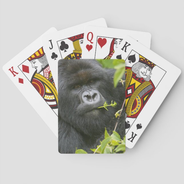 Silverback Mountain Gorilla Poker Cards (Back)