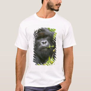 Silverback Mountain Gorilla T-Shirt