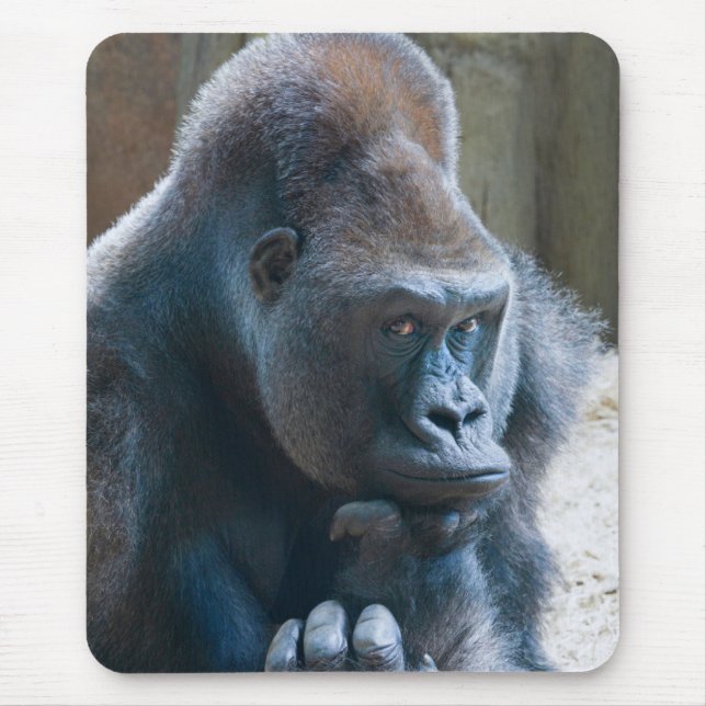 Silverback Striking a Pose Mouse Pad (Front)