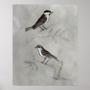 Silvered Aviary A Pair Of Birds Poster