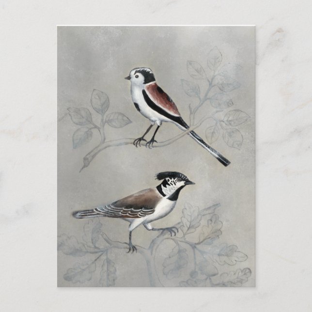 Silvered Aviary | A Pair Postcard (Front)