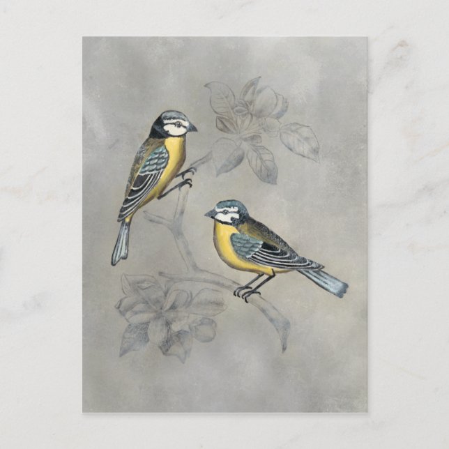 Silvered Aviary | Bird Couple Postcard (Front)