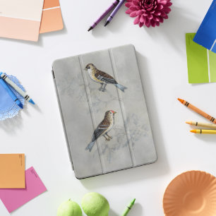 Silvered Aviary   Two Birds iPad Pro Cover