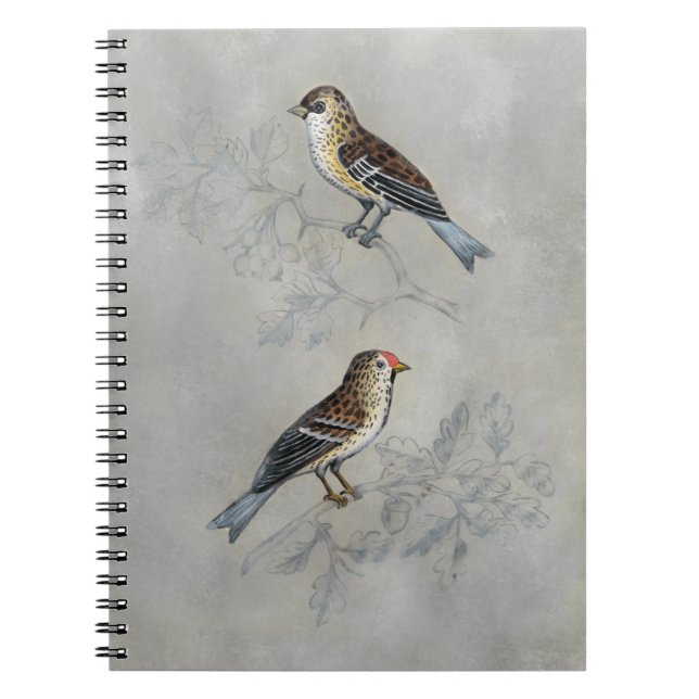 Silvered Aviary | Two Birds Notebook (Front)
