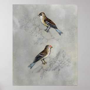 Silvered Aviary Two Birds Poster