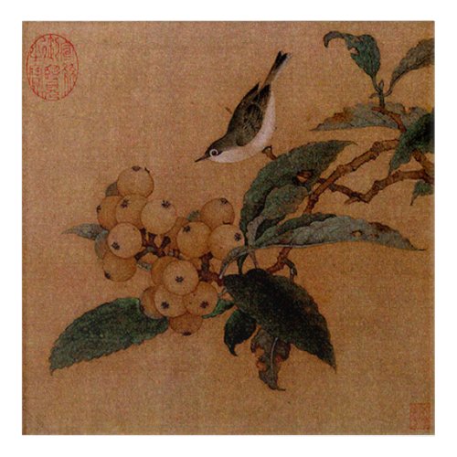 Silvereye bird and loquats _ Chinese vintage print Acrylic Print
