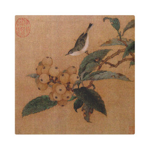 Silvereye bird and loquats metal print