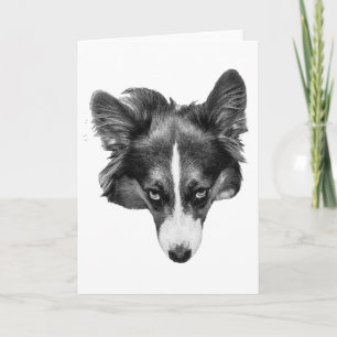 silverlight companion card