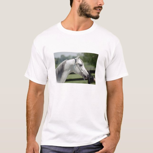 Silverstone Shamal T-Shirt (Front)