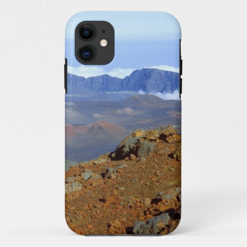 Silversword on Haleakala Crater  Rim from near 2 iPhone 11 Case