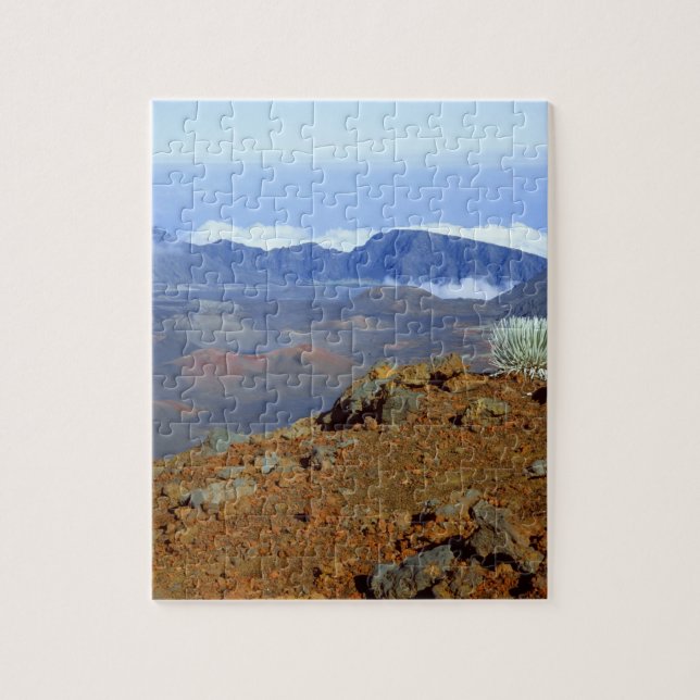 Silversword on Haleakala Crater  Rim from near 2 Jigsaw Puzzle (Vertical)