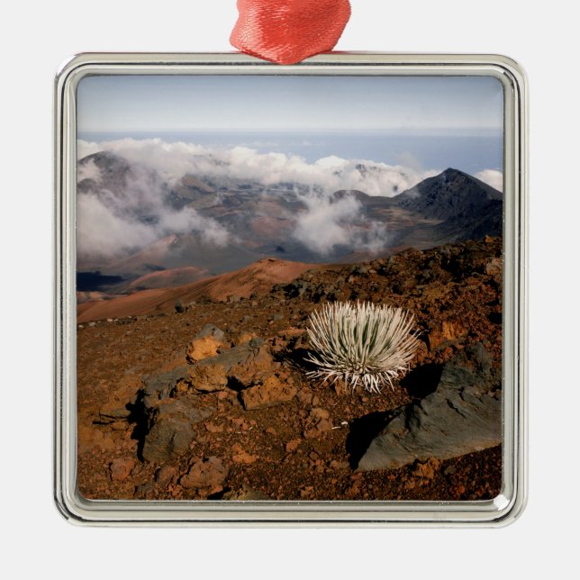 Silversword on Haleakala Crater  Rim from near 3 Metal Ornament (Front)