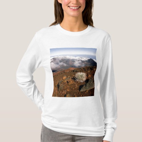 Silversword on Haleakala Crater  Rim from near 3 T_Shirt