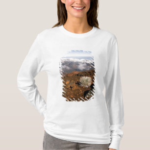 Silversword on Haleakala Crater  Rim from near 3 T-Shirt