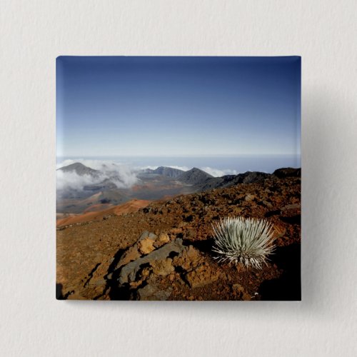 Silversword on Haleakala Crater  Rim from near Button