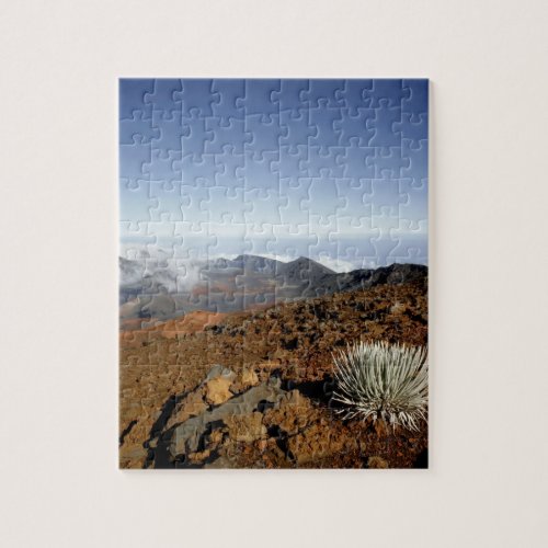 Silversword on Haleakala Crater  Rim from near Jigsaw Puzzle