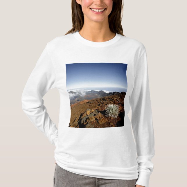 Silversword on Haleakala Crater  Rim from near T-Shirt (Front)