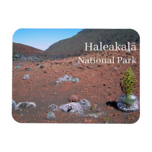Silversword, Sand Dunes, Haleakalā National Park Magnet