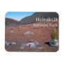 Silversword, Sand Dunes, Haleakalā National Park  Magnet
