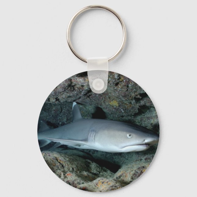 Silvertip Shark Keychain (Front)