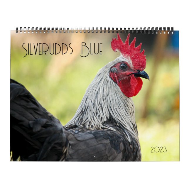 Silverudds Blue Chickens Calendar (Cover)
