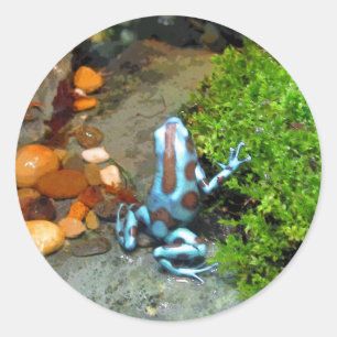 Silvery Blue Dart Frog CB Classic Round Sticker