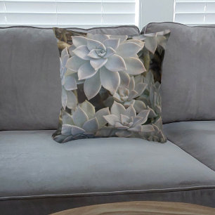 Silvery Blue Echeveria Succulent Plants Throw Pillow