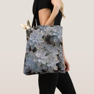 Silvery Blue Gray Succulents Botanical