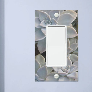 Silvery Blue Succulents Botanical Light Switch Cover