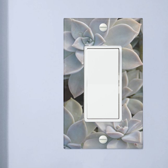 Silvery Blue Succulents Botanical Light Switch Cover (Creator Uploaded)