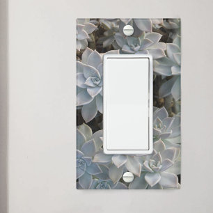 Silvery Blue Succulents Botanical Light Switch Cover