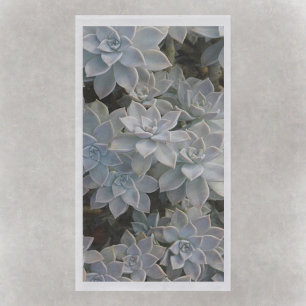 Silvery Blue Succulents Paper Guest Towels