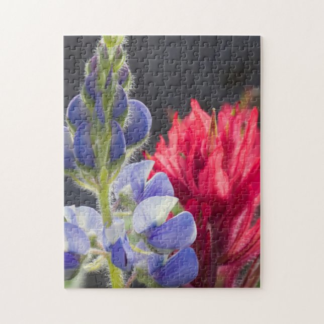 Silvery Lupine, Lavender Paintbrush Jigsaw Puzzle (Vertical)