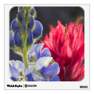 Silvery Lupine, Lavender Paintbrush Wall Decal