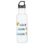 Simba Nala Conversation Stainless Steel Water Bottle